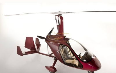 MagniGyro-M24-Ramsar